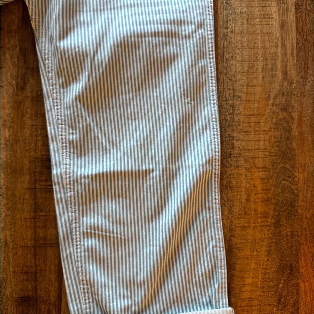 Denimist Carpenter Drop Pants Jeans Denim Striped Light Blue ankle length 28 NWT - Picture 6 of 12